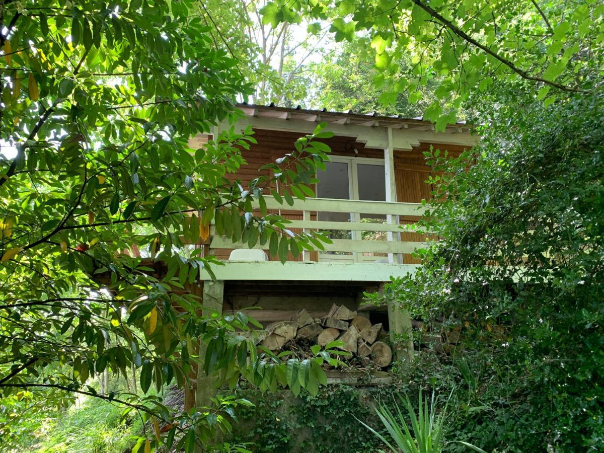 Chalet En Bord De Seine Βίλα Le Coudray-Montceaux Εξωτερικό φωτογραφία