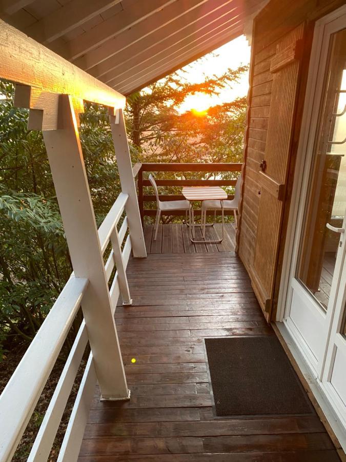 Chalet En Bord De Seine Βίλα Le Coudray-Montceaux Εξωτερικό φωτογραφία