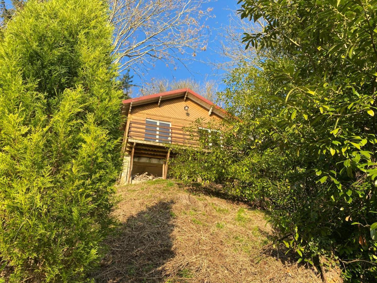 Chalet En Bord De Seine Βίλα Le Coudray-Montceaux Εξωτερικό φωτογραφία